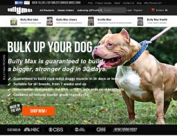 Bully Max