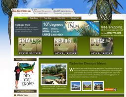 Real Palm Trees