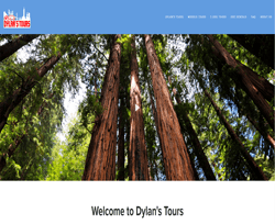 Dylan's Tours