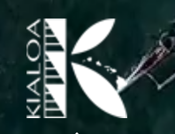 Kialoa