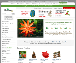 The RainForest Site