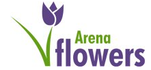 Arena Flowers IN