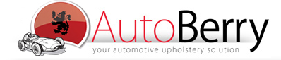 AutoBerry