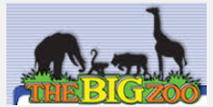 The Big Zoo