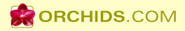 Orchids.com