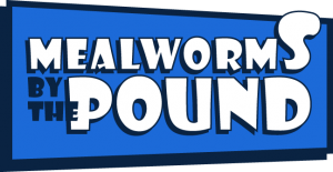 Mealworms by the Pound