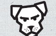 Indestructible Dog