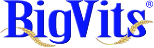 Bigvits.co.uk