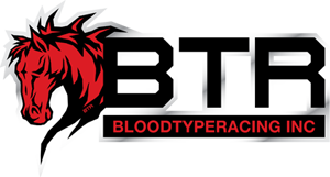Blood Type Racing