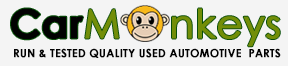 Car Monkeys