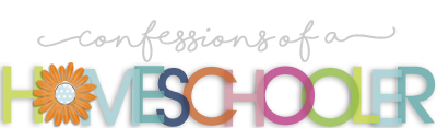 Confessions of a Homeschooler