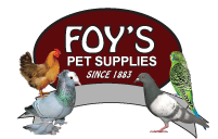 Foy's Pigeon Supplies