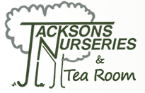 Jacksons nurseries