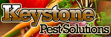 Keystone Pest Solutions