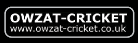 Owzat-Cricket