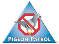 Pigeon Patrol