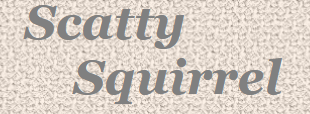 Scatty Squirrel