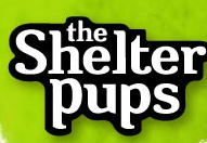 Shelter Pups