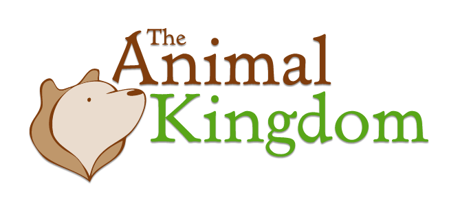The Animal Kingdom