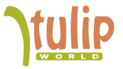 Tulip World