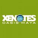 Xenotes Oasis Maya