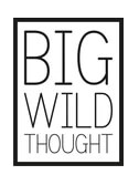 Big Wild Thought Promo Codes & Coupons