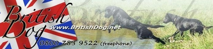 British Dog Promo Code British Dog Promo Code