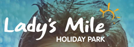 Ladys Mile Promo Codes & Coupons