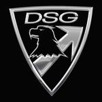 DSG Arms