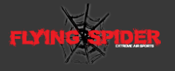 Flying Spider Coupons and Promo Code