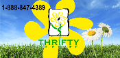 Thrifty Florist