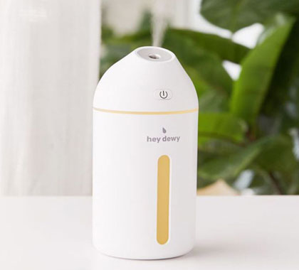 Hey Dewy Portable Facial Humidifier