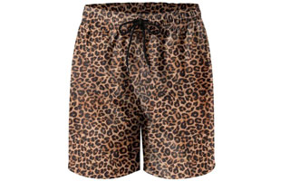 IORTY RTTY Mens Swim Trunks Quick Dry Swim Shorts