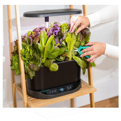 Find The Garden That's Right for You