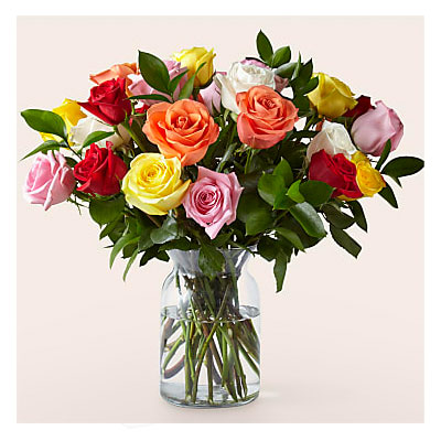 One Dozen Long Stemmed Red Roses