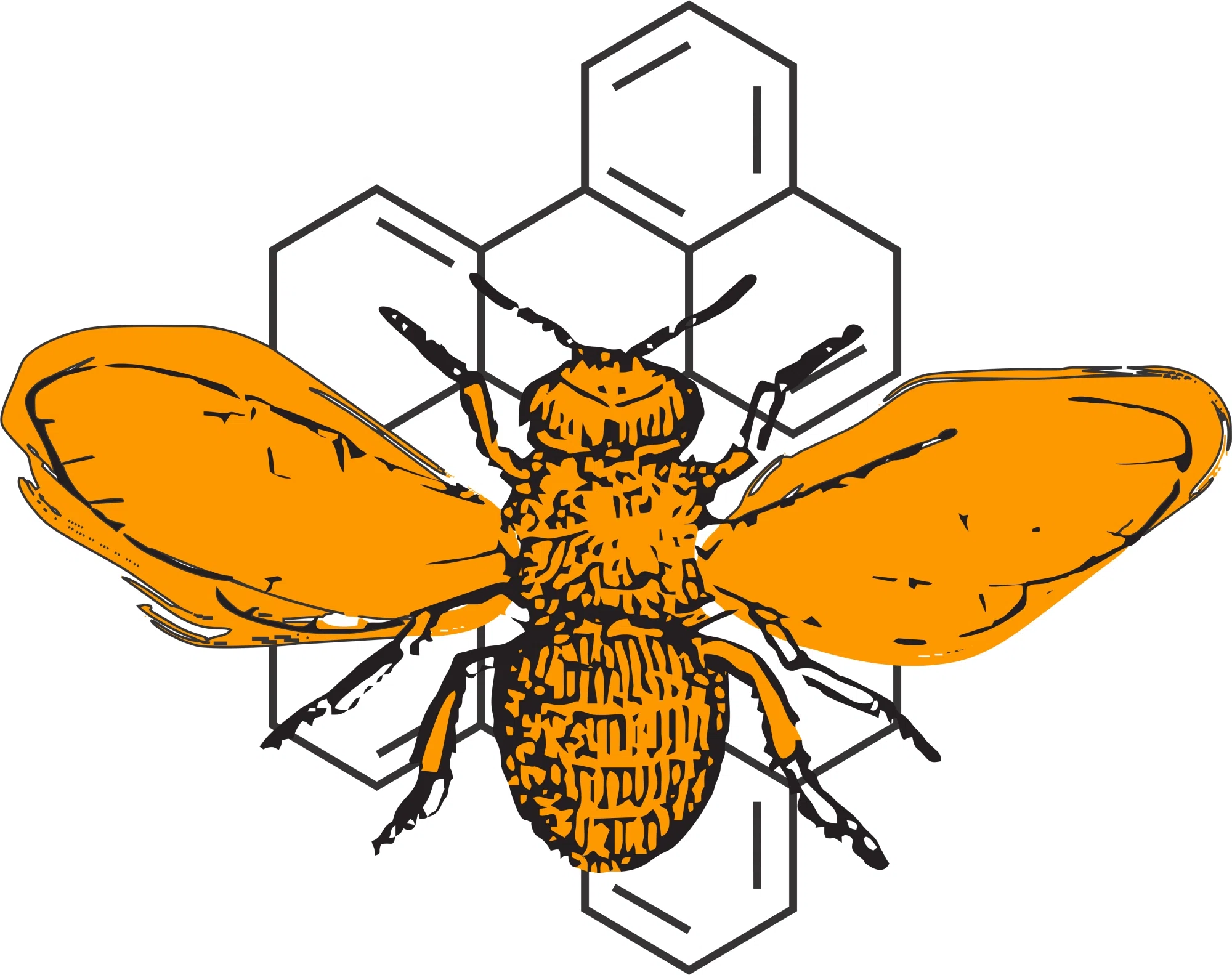 Mad Honey From Himalayas Nepal Promo Codes (10% Off) October 2026
