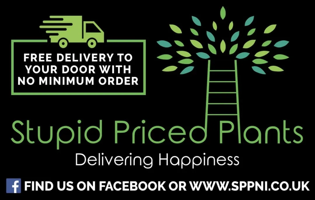 Stupid Priced Plants Promo Codes & Coupons