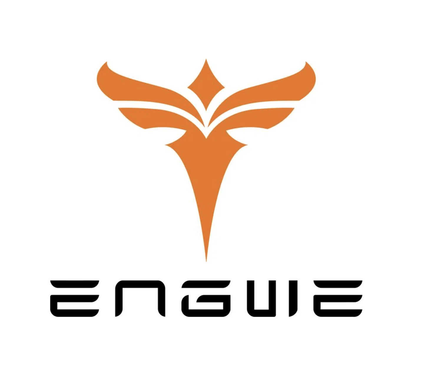 Engwe Bikes Uk