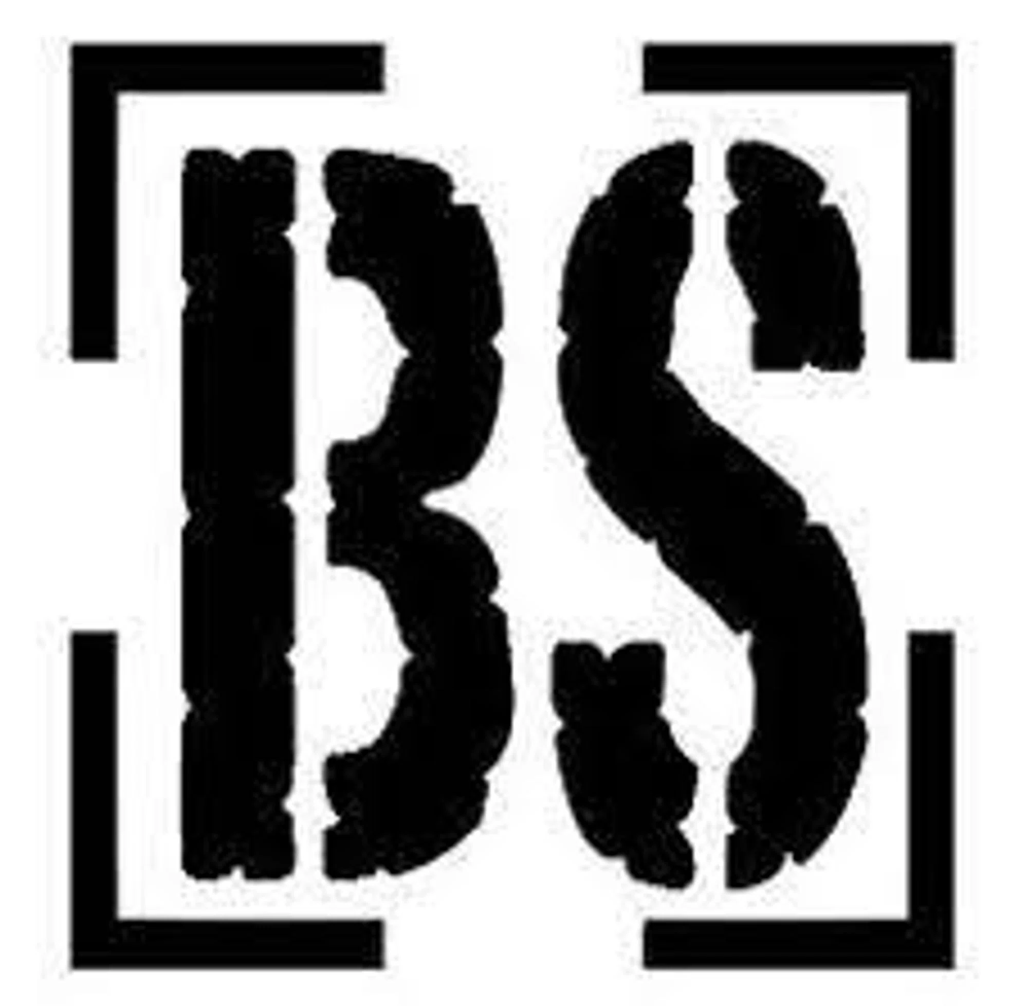 Bs The Board Shop Promo Codes & Coupons
