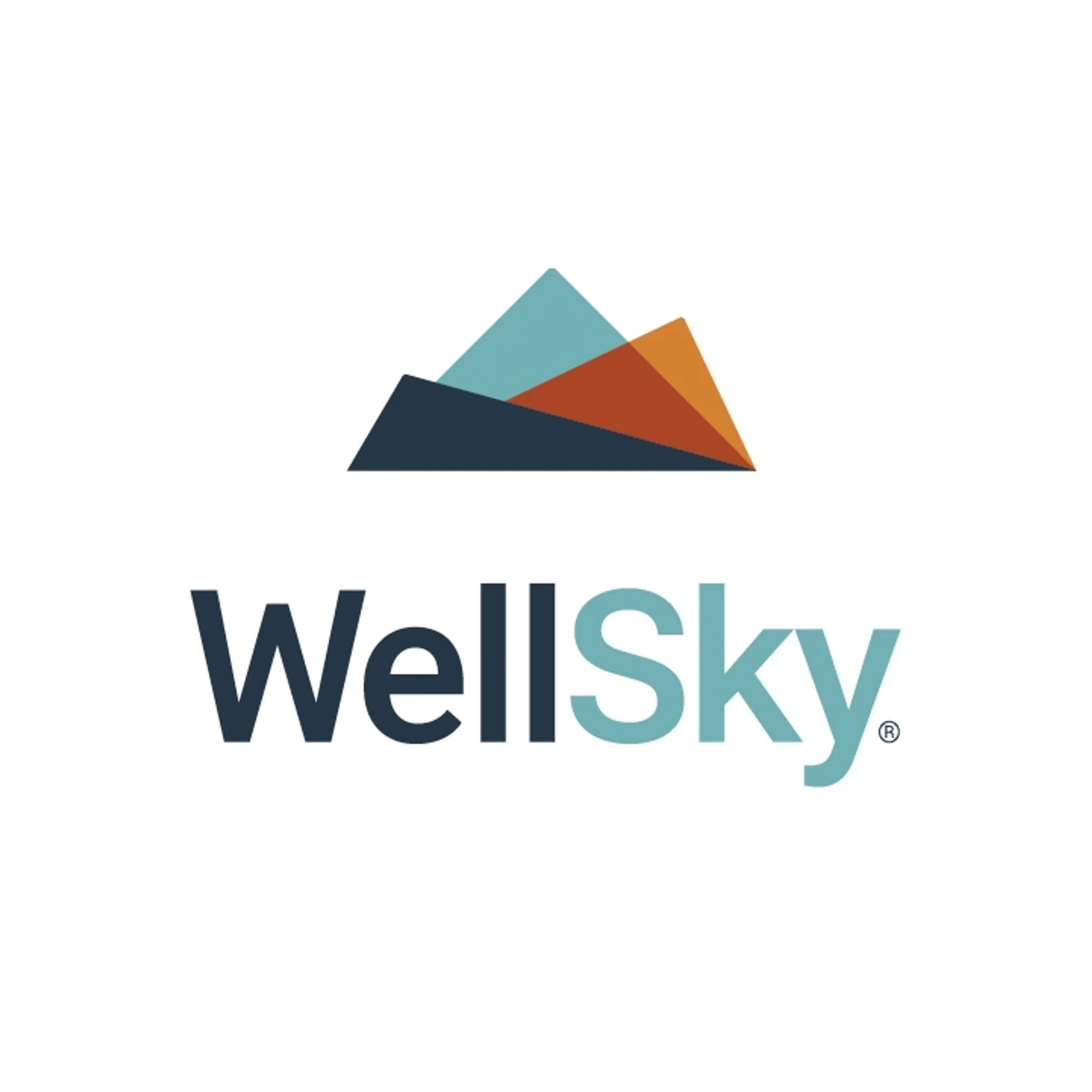 Wellsky Promo Codes & Coupons