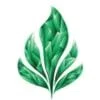 Emerald Herb Co Promo Codes & Coupons