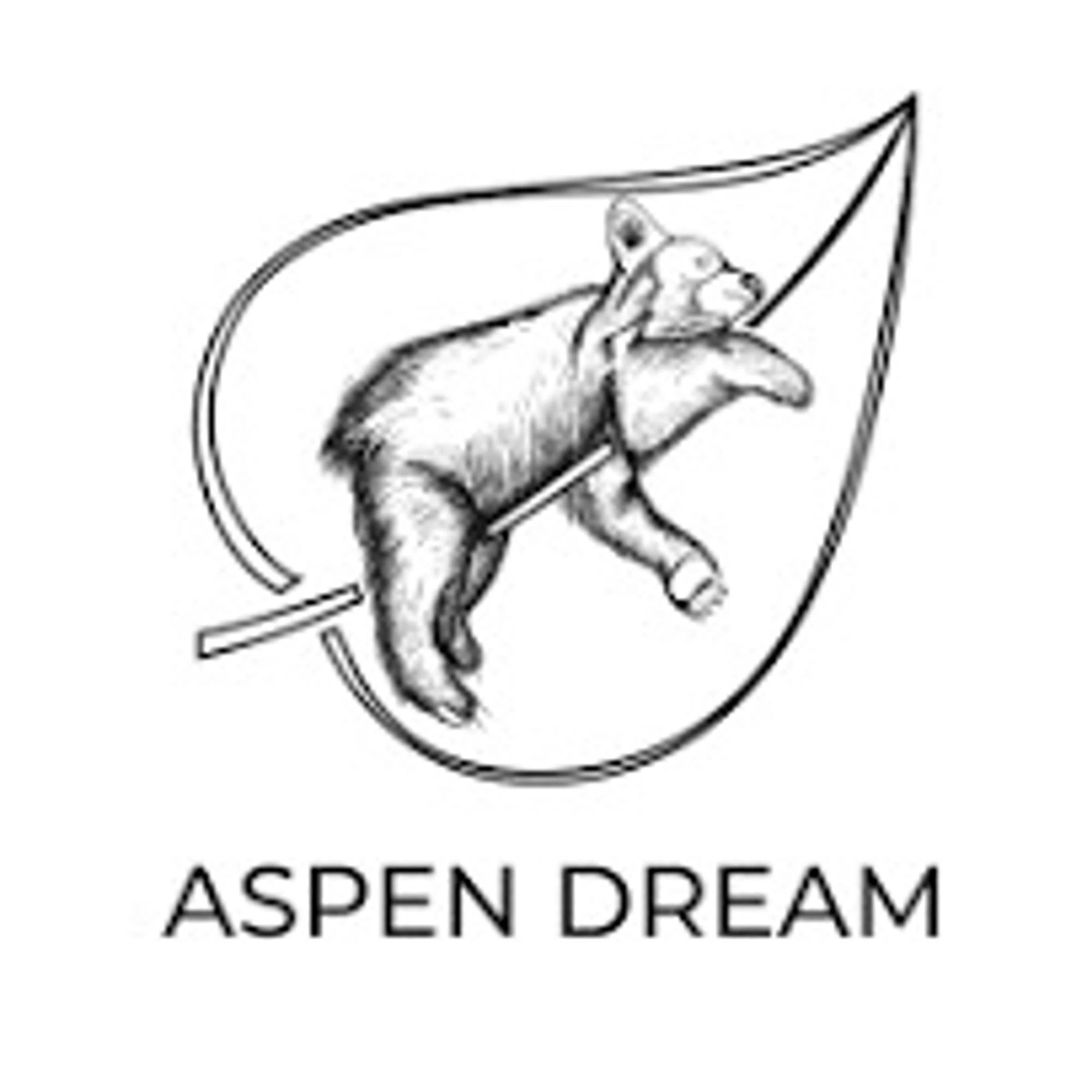 Aspen Dream Promo Codes & Coupons
