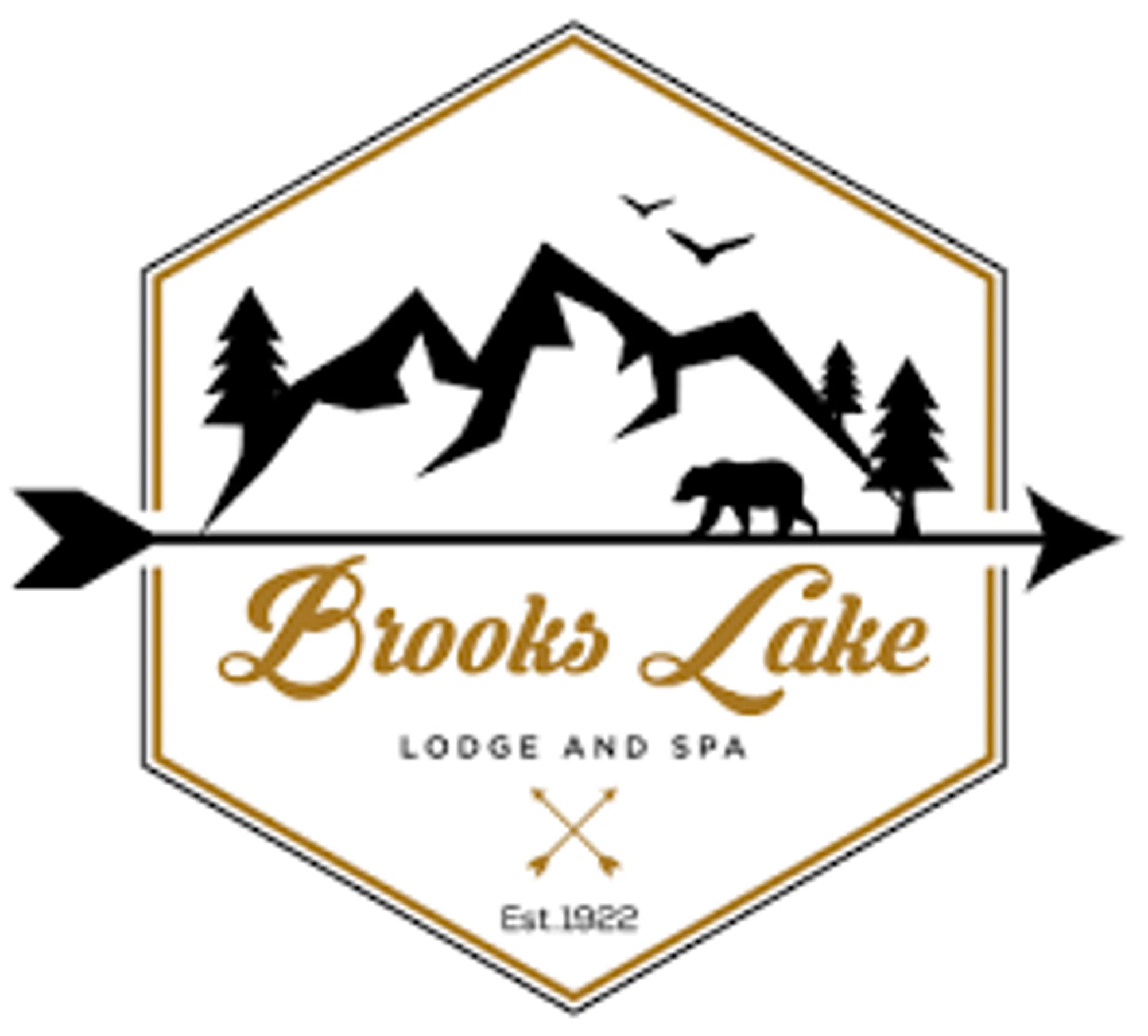 Brooks Lake Promo Codes & Coupons