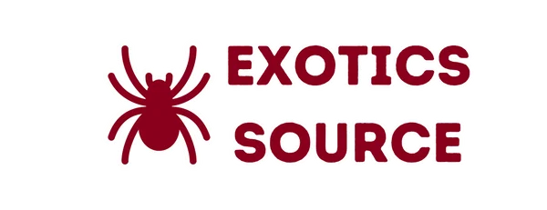 Exotics Source