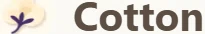 Cotton Promo Codes & Coupons