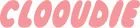 Clooudie Promo Codes