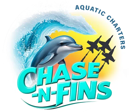 Chase N Fins
