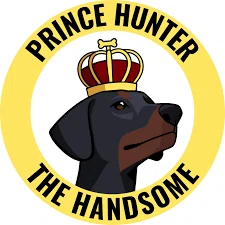 Prince Hunter The Handsome