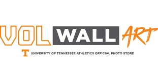 Vol Wall Art Promo Codes