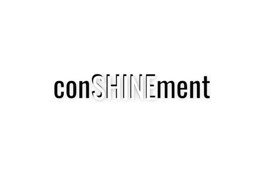 ConSHINEment Promo Codes & Coupons